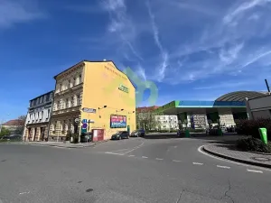 Prodej vícegeneračního domu, Plzeň, 776 m2
