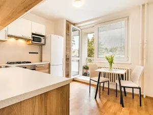 Prodej bytu 2+kk, Brno, Horácké náměstí, 47 m2