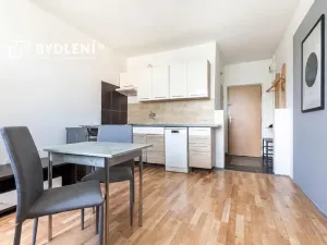 Prodej bytu 1+1, Louny, Březinova, 36 m2