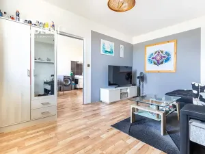 Prodej bytu 1+1, Louny, Březinova, 36 m2