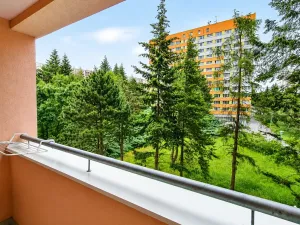 Pronájem bytu 1+1, Brno, Halasovo náměstí, 33 m2
