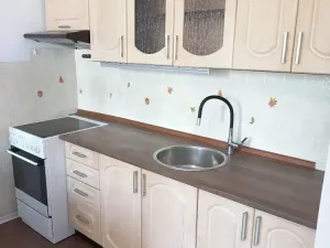 Pronájem bytu 1+kk, Brno, Spodní, 30 m2
