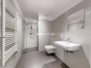 Pronájem bytu 1+kk, Praha - Karlín, Sokolovská, 38 m2