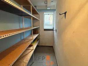 Pronájem bytu 3+kk, Brno, Šumavská, 75 m2