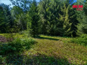 Prodej rodinného domu, Smržovka, Hlavní, 160 m2