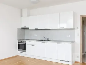 Pronájem bytu 1+kk, Praha - Žižkov, Olšanská, 36 m2