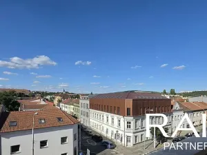 Prodej bytu 1+kk, Brno, Svitavská, 30 m2