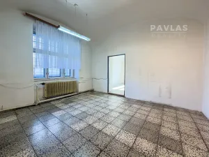 Prodej vícegeneračního domu, Veselí nad Lužnicí, náměstí T. G. Masaryka, 570 m2
