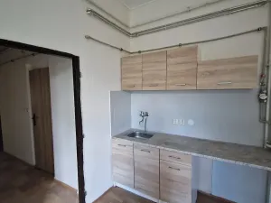 Pronájem bytu 1+1, Děčín, Podmokelská, 44 m2