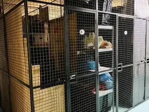 Pronájem bytu 2+kk, Benešov, U Pivovaru, 62 m2