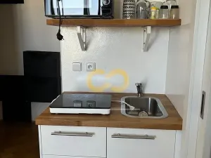 Pronájem bytu 1+kk, Praha - Žižkov, Přemyslovská, 26 m2