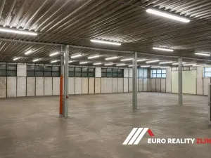 Pronájem skladu, Zlín, Cecilka, 540 m2