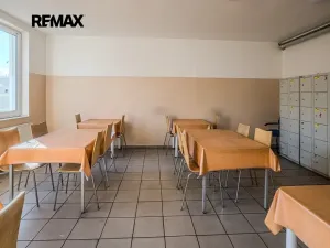Prodej výrobních prostor, Plzeň, Dopravní, 9469 m2