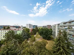 Prodej bytu 2+kk, Praha - Karlín, Nekvasilova, 42 m2