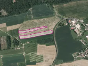 Prodej louky, Radnice, 34791 m2