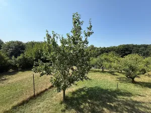 Prodej rodinného domu, Kostelany, 107 m2