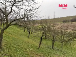 Prodej zahrady, Bezuchov, 901 m2