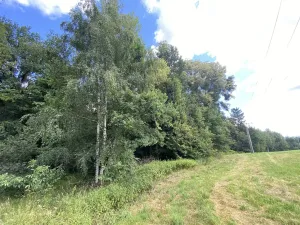 Prodej pozemku, Olbramice, 708 m2