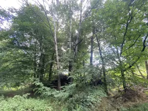 Prodej pozemku, Olbramice, 708 m2