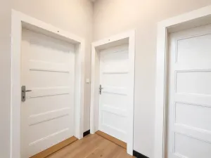 Prodej bytu 2+kk, Praha - Žižkov, Bořivojova, 47 m2