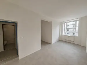 Prodej bytu 1+kk, Brno, Cejl, 60 m2