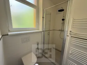 Pronájem bytu 1+1, Praha - Smíchov, Plzeňská, 44 m2