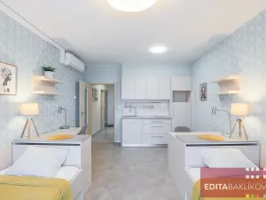 Pronájem bytu 1+kk, Olomouc, 17. listopadu, 33 m2