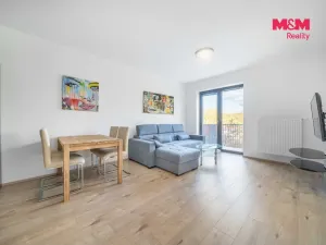 Pronájem bytu 2+kk, Třemošná, Školní, 50 m2