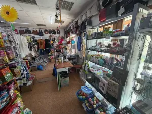 Pronájem obchodního prostoru, Jeseník, Sadová, 169 m2
