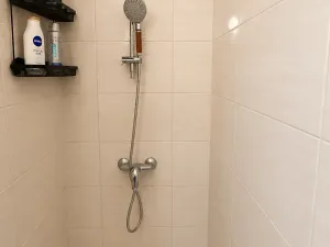 Prodej bytu 1+kk, Přemyslovice, 33 m2