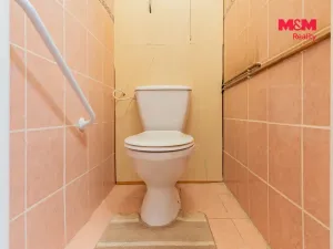 Prodej bytu 3+kk, Krajková, 60 m2