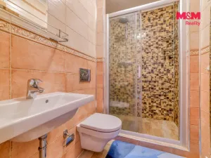 Prodej rodinného domu, Velká Hleďsebe, Pohraniční stráže, 220 m2