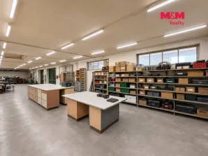 Prodej obchodního prostoru, Klenovice, 851 m2