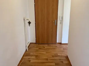 Prodej bytu 1+1, Brno, Dobrovského, 40 m2