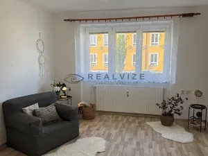 Pronájem bytu 2+1, Zliv, Lidická, 53 m2