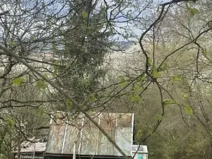 Dražba zahrady, Votice, 1089 m2