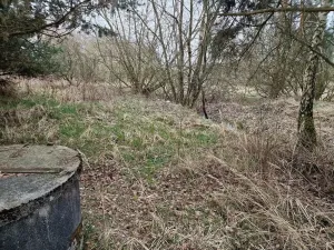 Prodej podílu pozemku pro bydlení, Bělčice, 34980 m2