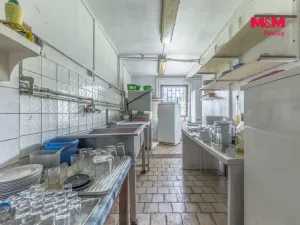 Prodej komerční nemovitosti, Plavy, 500 m2