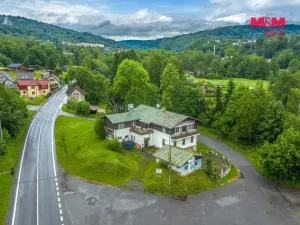 Prodej komerční nemovitosti, Plavy, 500 m2