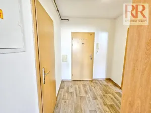 Pronájem bytu 2+kk, Plzeň, Skrétova, 46 m2