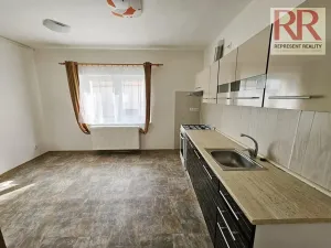 Pronájem obchodního prostoru, Plzeň, Mezi Ploty, 160 m2