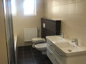 Pronájem bytu 3+kk, Opava, Olomoucká, 102 m2