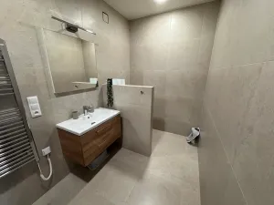 Pronájem rodinného domu, Jeseník, Javorová, 215 m2