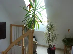 Pronájem bytu 3+kk, Praha - Braník, Nad malým mýtem, 123 m2