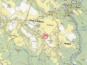 Prodej louky, Jílové u Držkova, 7808 m2