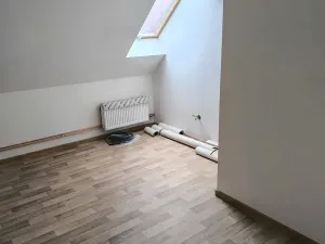 Prodej vícegeneračního domu, Běleč, Dukelská, 470 m2