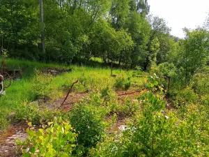 Prodej pozemku pro bydlení, Desná, Hutní, 2111 m2