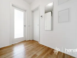 Pronájem bytu 1+kk, Olomouc, Dlouhá, 50 m2