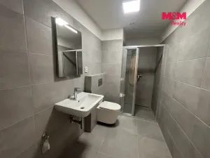 Pronájem bytu 2+kk, Hořovice, U Štěpánků, 38 m2