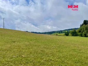 Prodej louky, Bartošovice v Orlických horách, 22170 m2